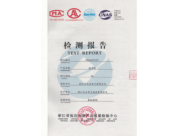 XLIP65檢測(cè)報(bào)告1