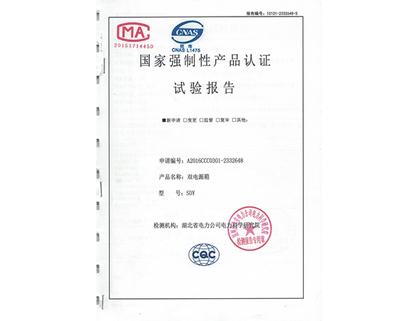SDY試驗(yàn)報告1